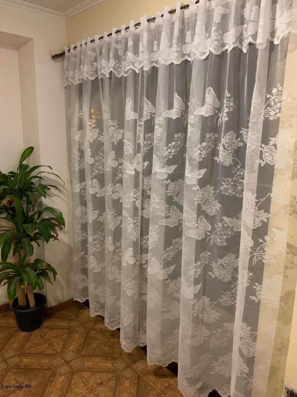 Set Visillo Encaje Mariposas – Modelo 2